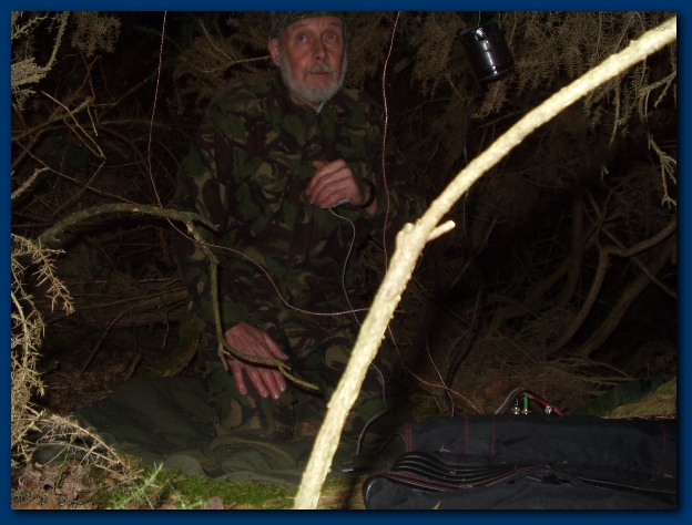 600x449 pixels (116K)